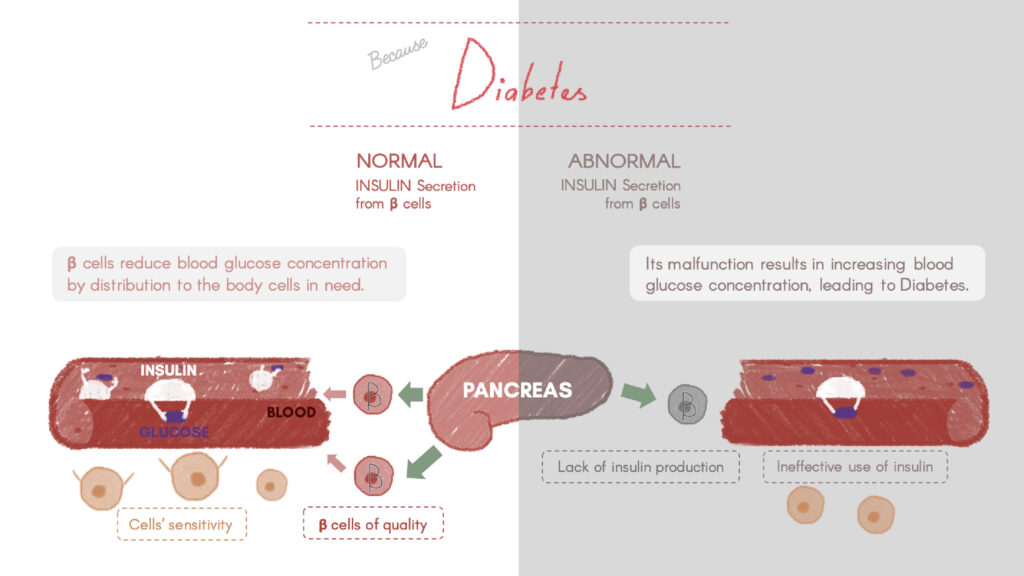 Presentation design for Mullia’s health information conference