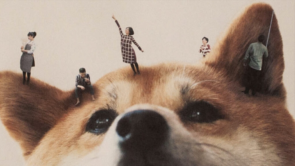 Fun Photomontage Keller zine