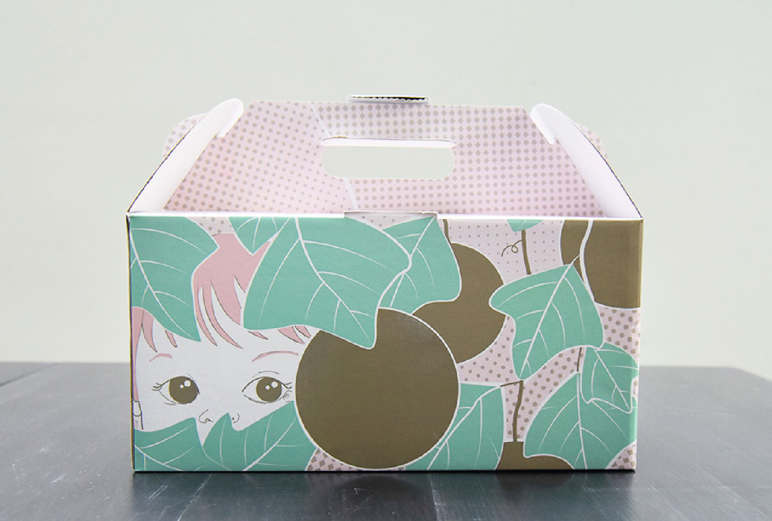 Illustration for Guoran's 6 melons box packaging, the birth of a new family member
